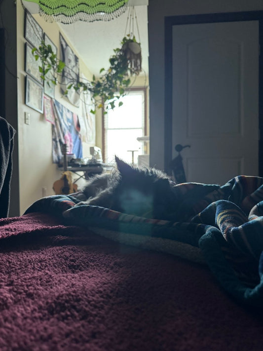 Life of art over a life of comfort - Ramen Shaman Art