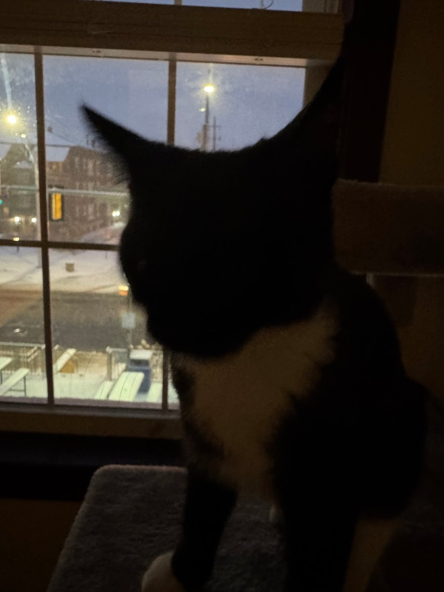 Last day of the hardest year - Ramen Shaman Art